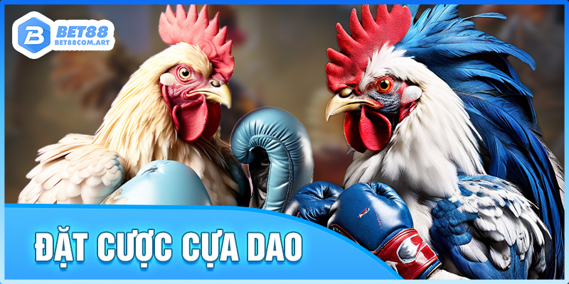 Xem, đặt cược đá gà cựa dao, tìm ngay BET88