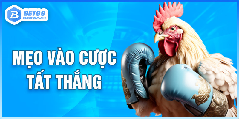 Luôn nghiên cứu lịch sử kỹ lưỡng trước khi đặt cược