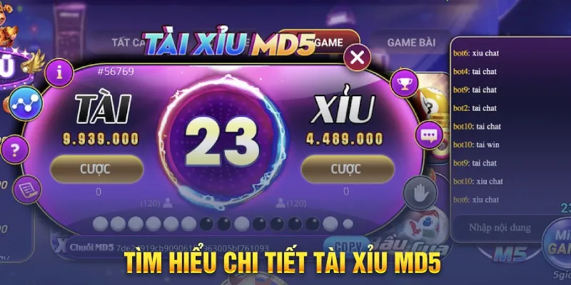Cách Tải Tài Xỉu Md5 – Hướng Dẫn Chi Tiết, Nhanh Và Chuẩn